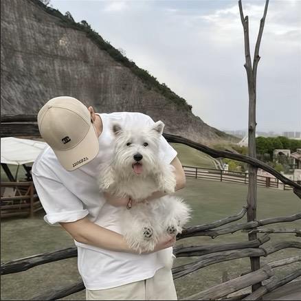 墨白