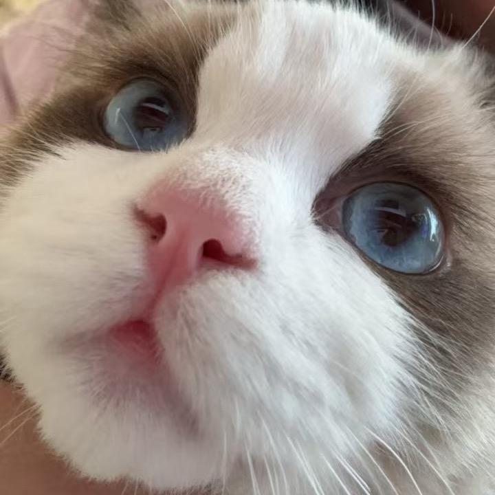 UEU1