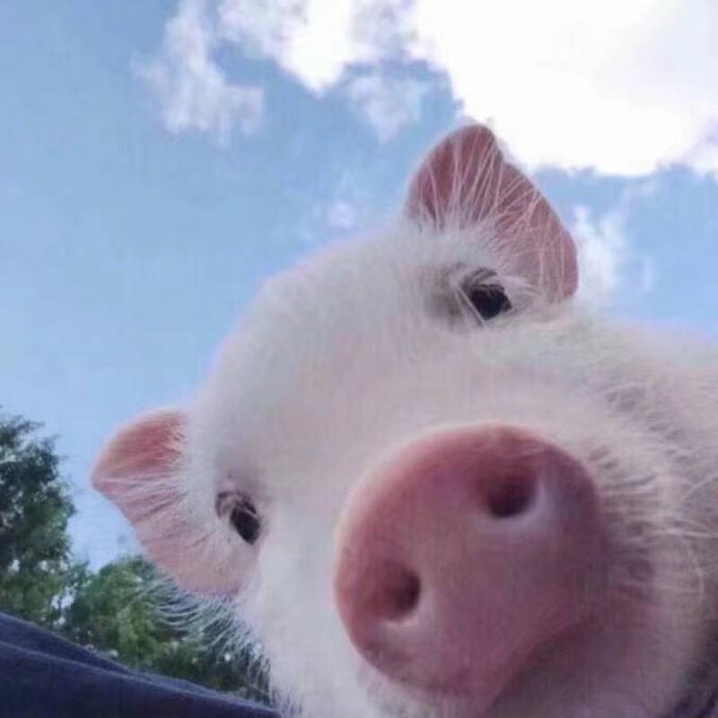 西安Q台球——泡泡