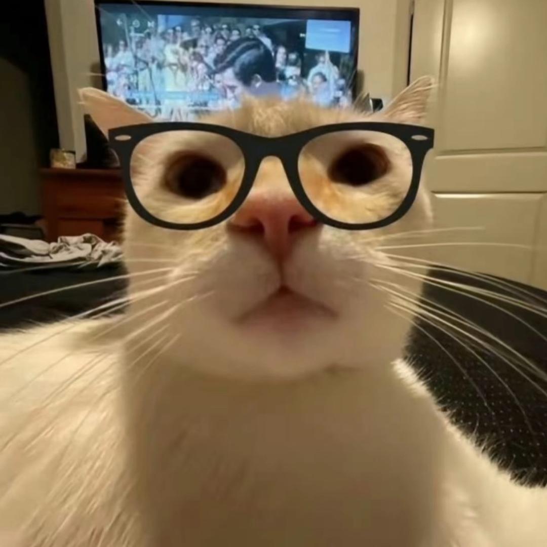 …….