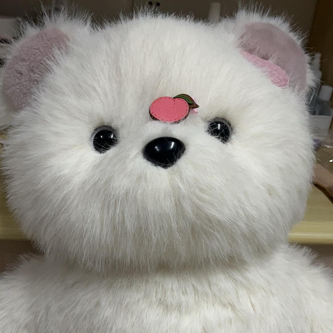 一宿