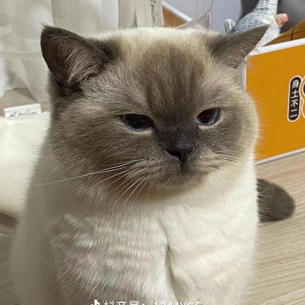 邪恶波比