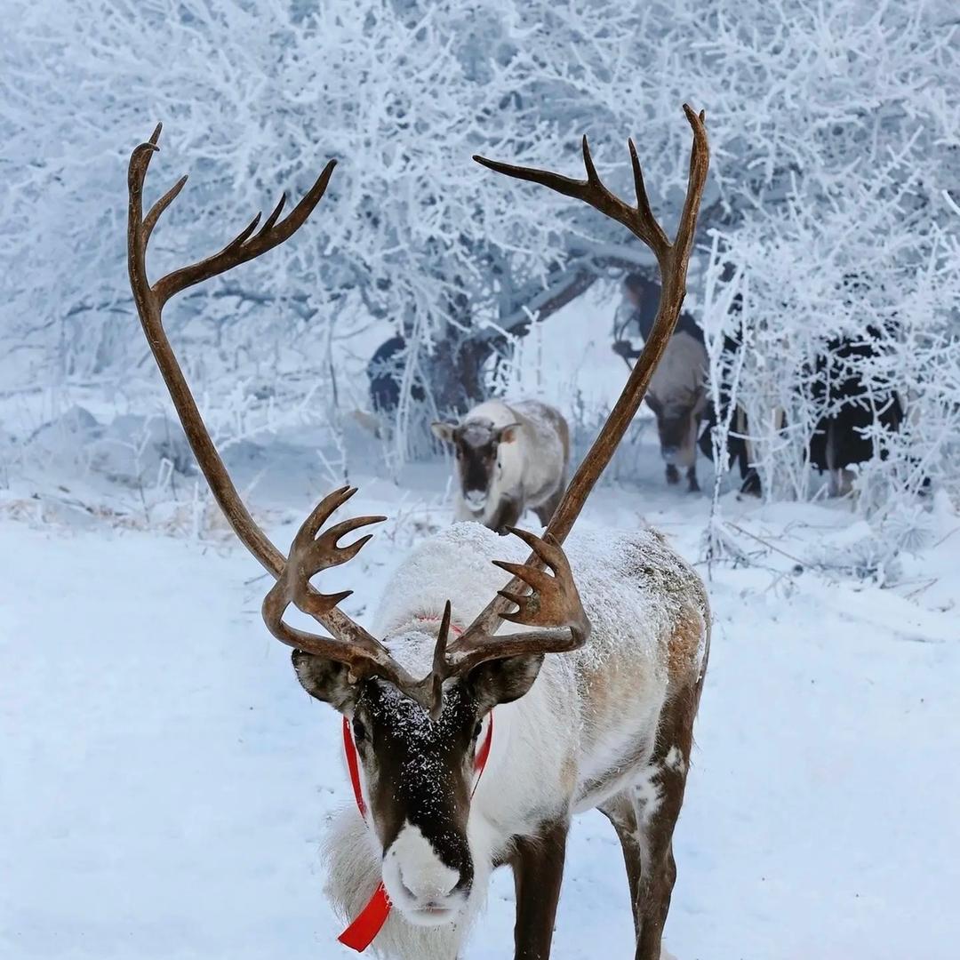 广州沐居阳台柜-吉冈春
