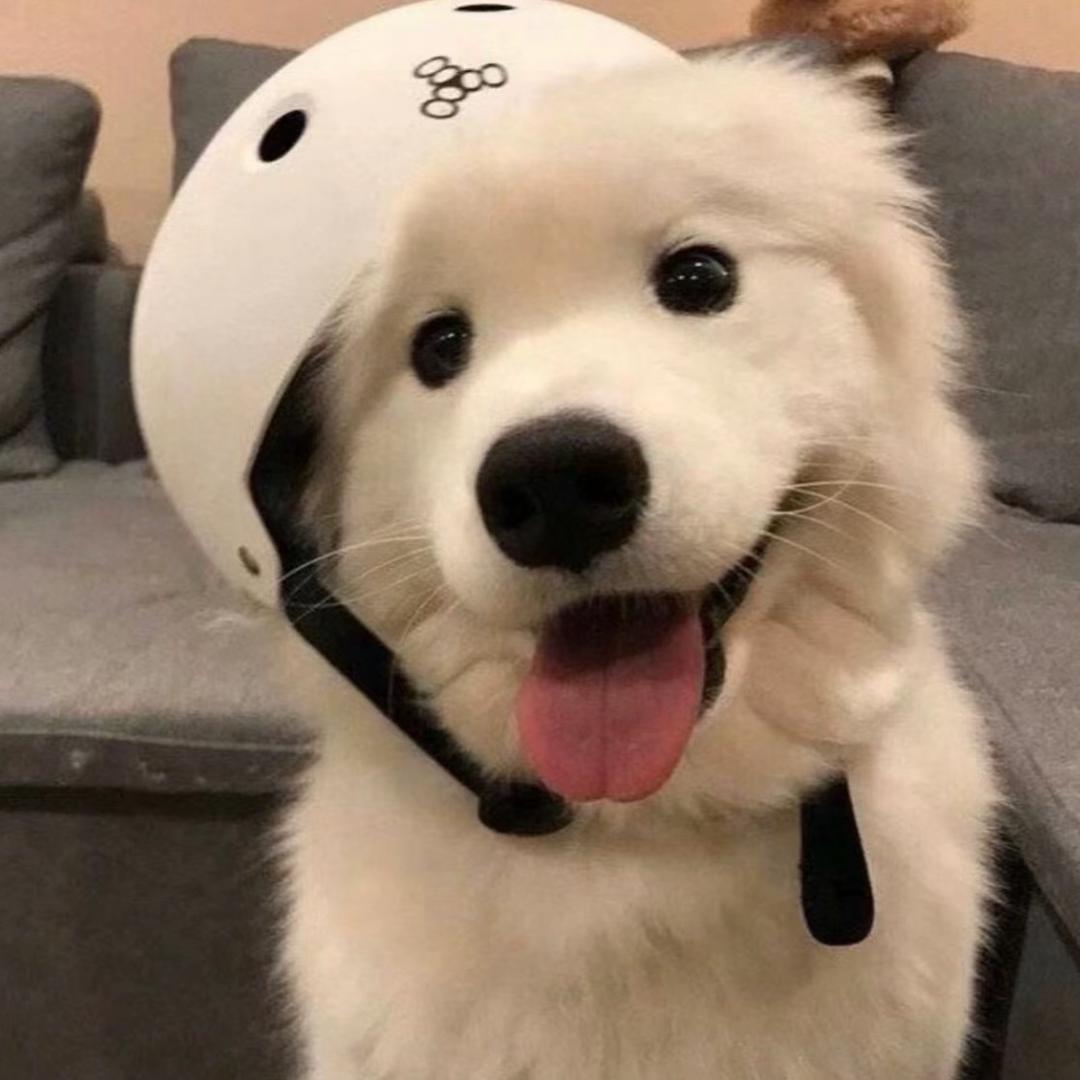 玛卡