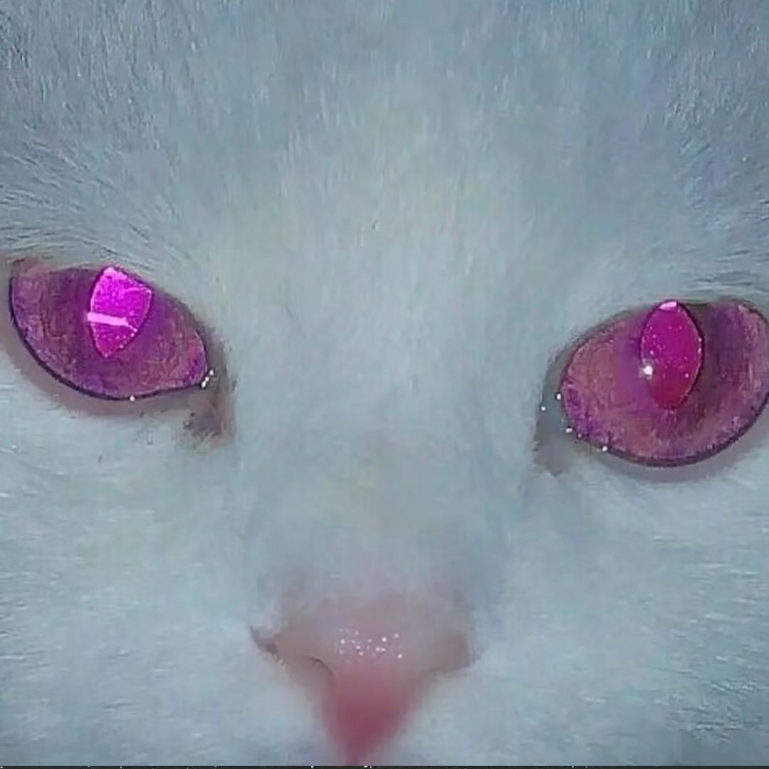 徐子淏ovo