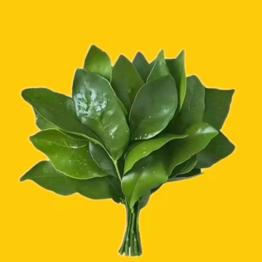 尖椒土豆片