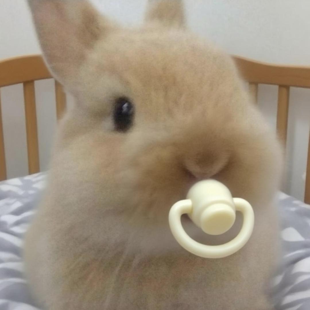 辣妹迅猛龙