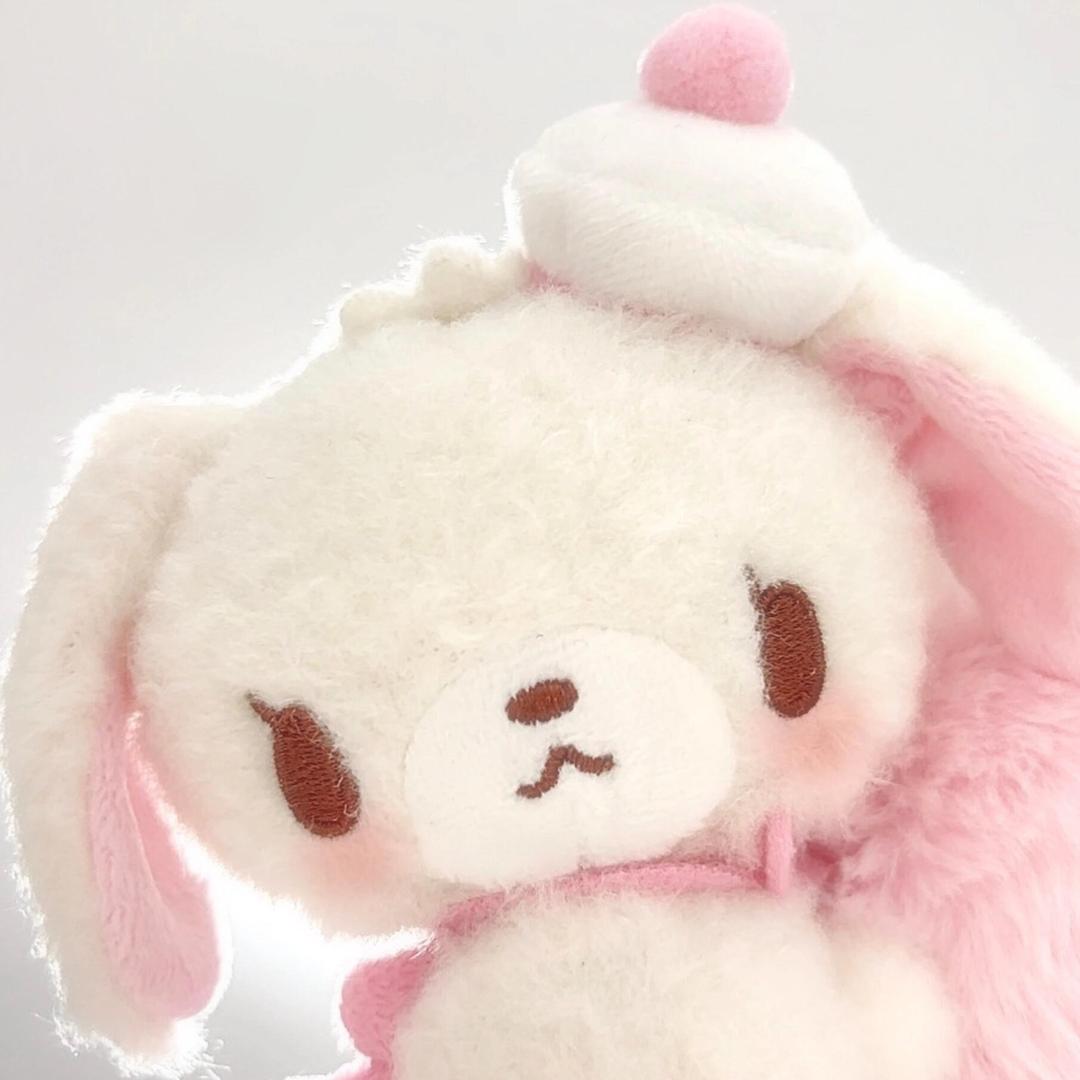 灰萌萌