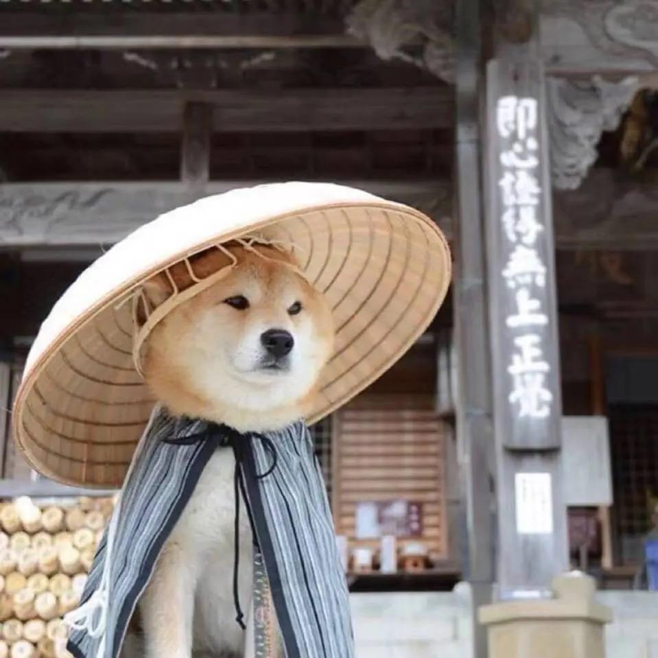 三只小麋鹿