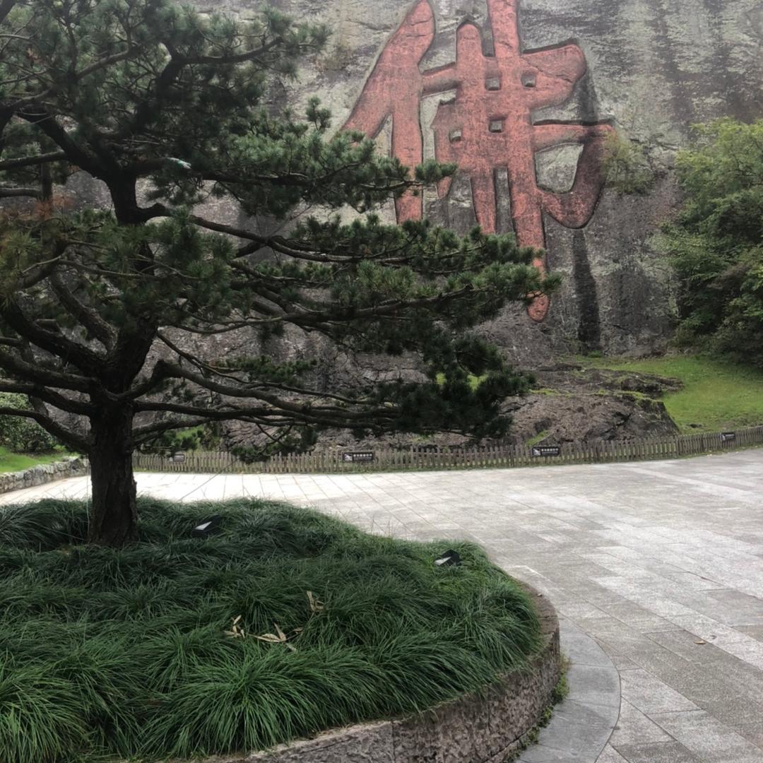 徐二姐❤️❤️