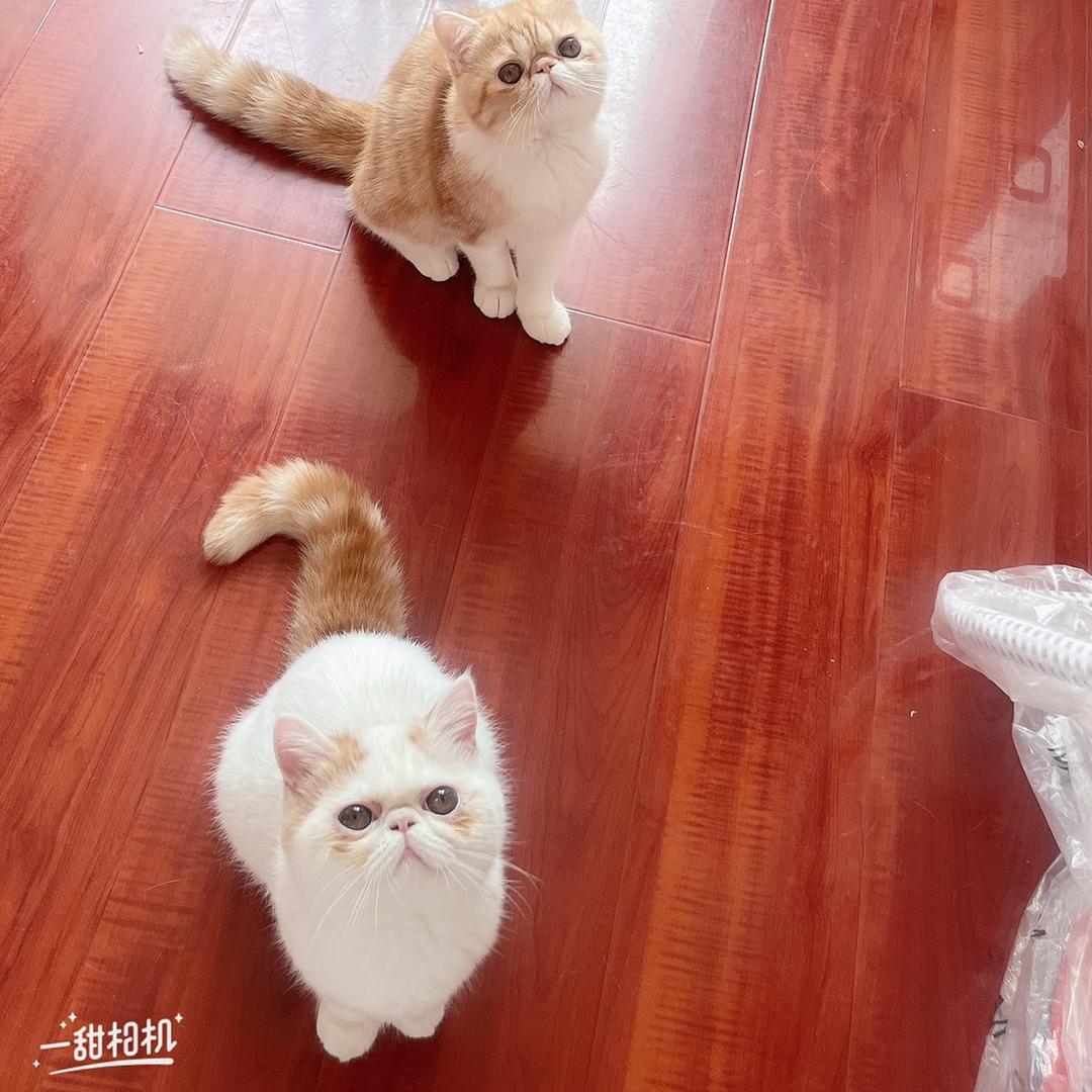 糖果🍬🍬