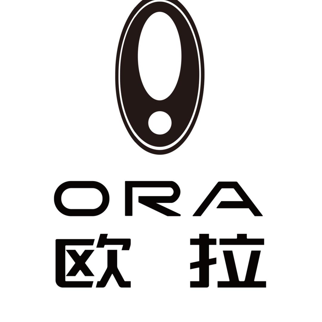 欧拉汽车−南京仙林店