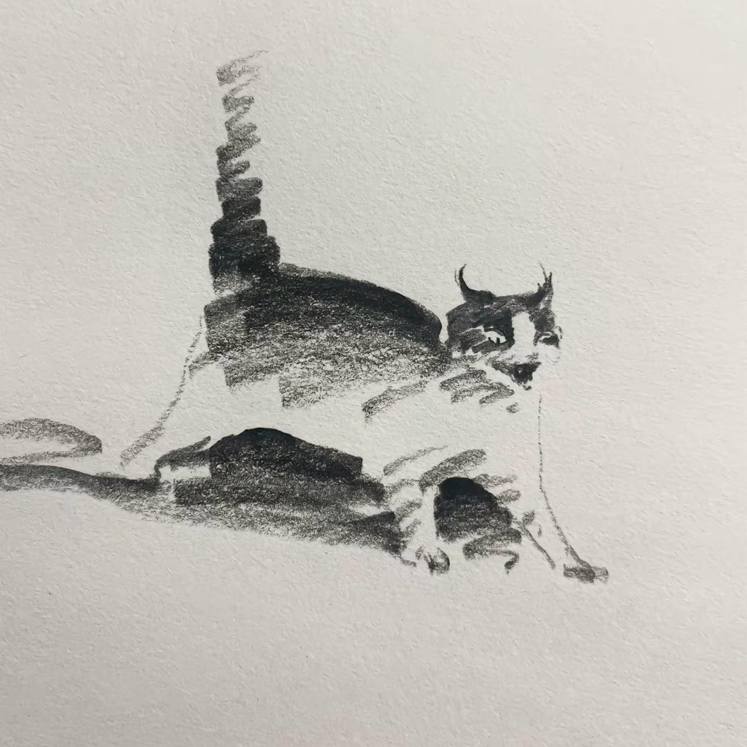 田某