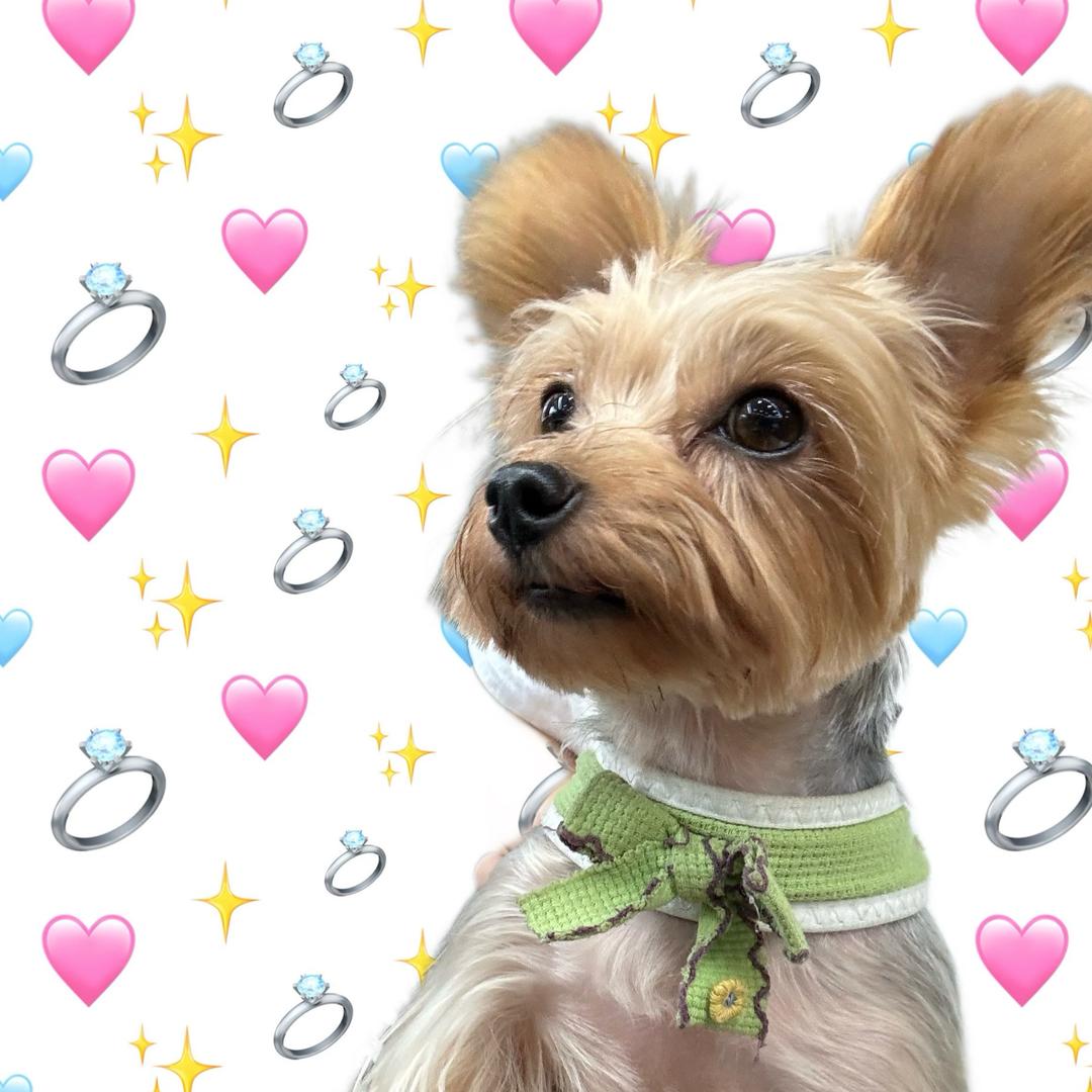 ⚡