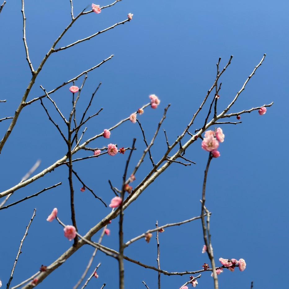 体彩那点事