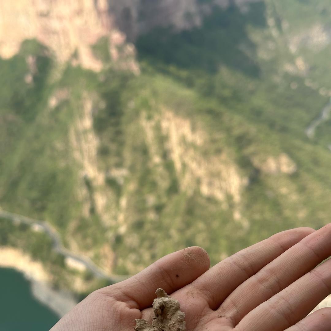 爱做美食的三孩妈