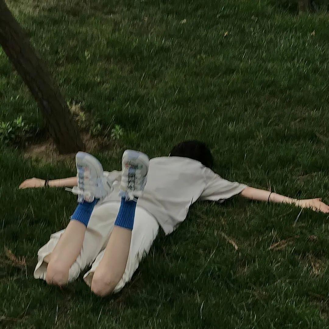 小镇的花.