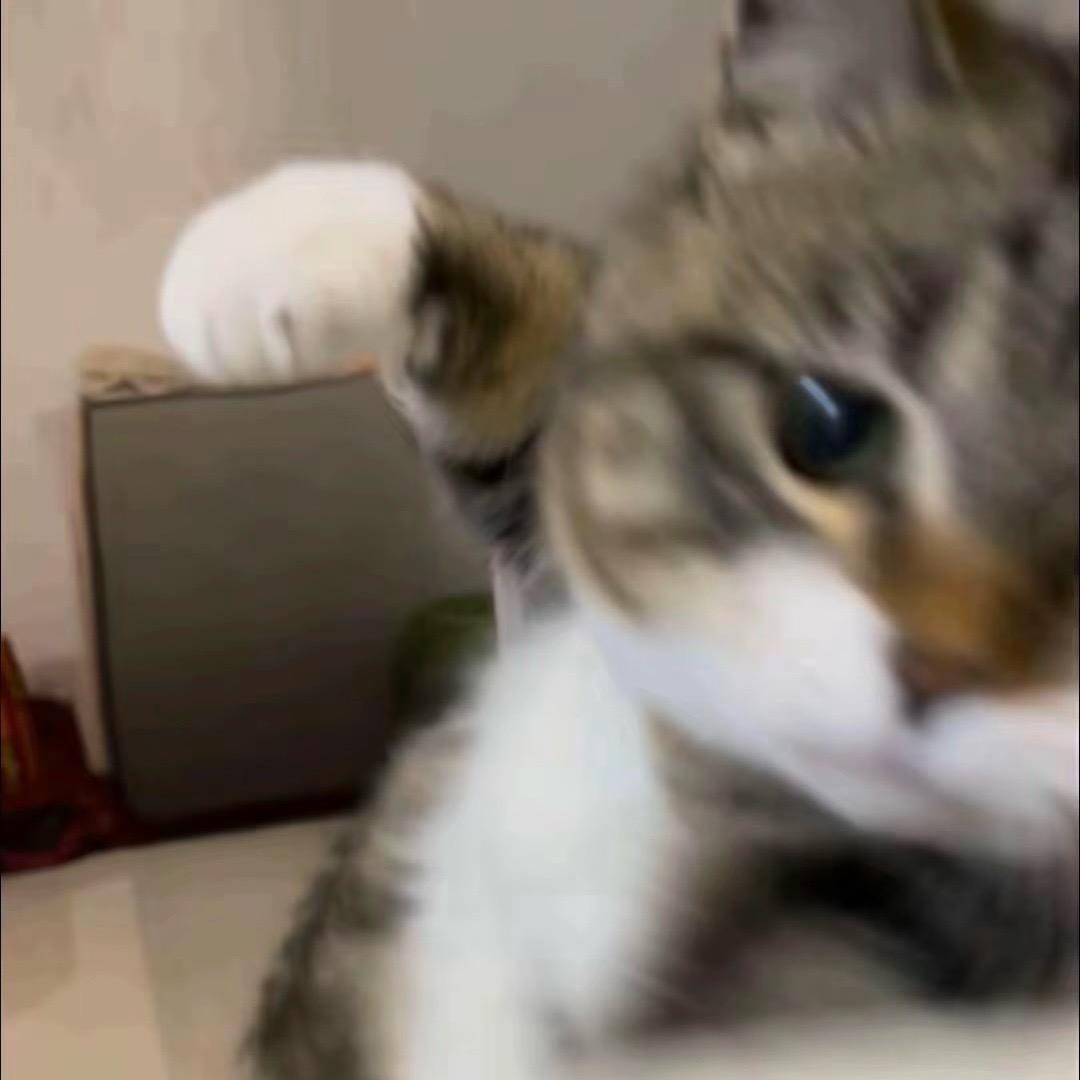 威子