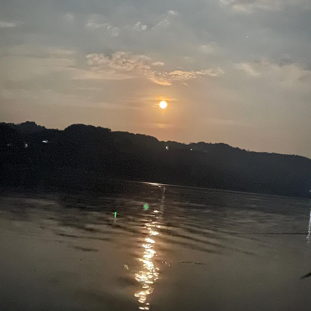 洋小杨