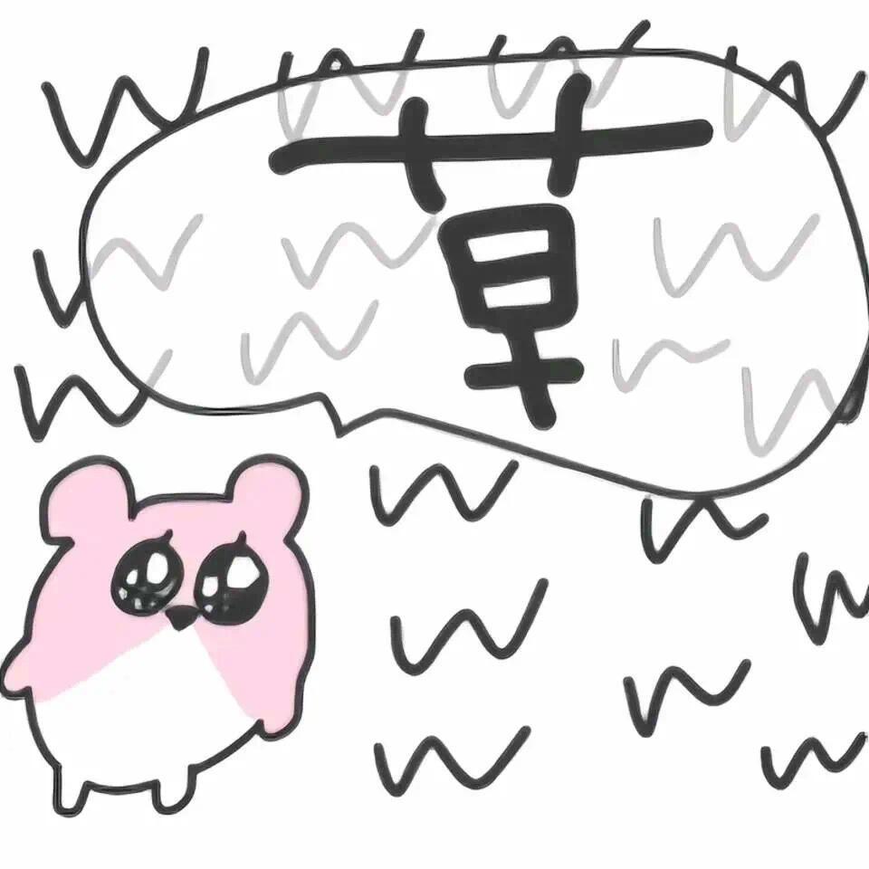 踢踢