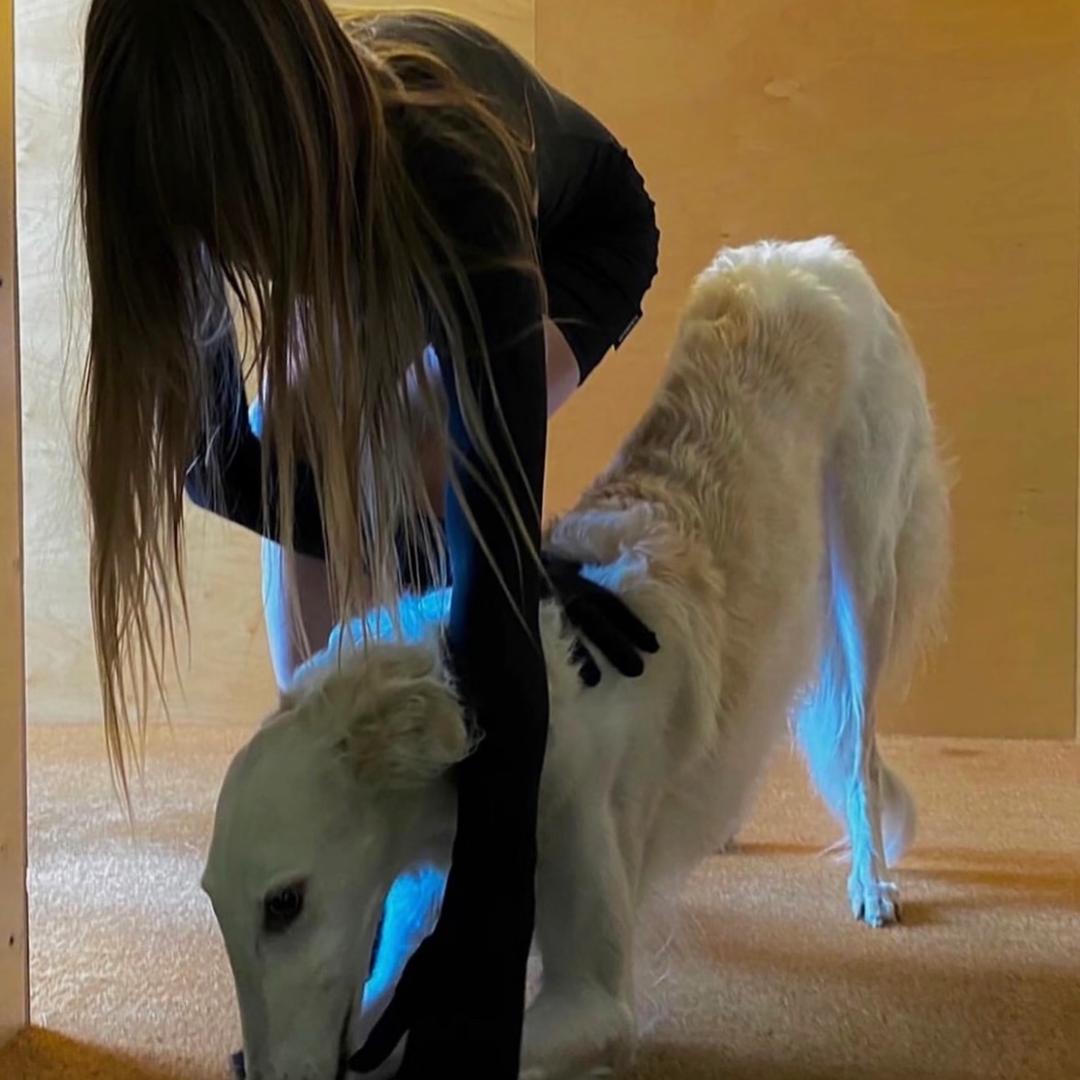 失乐园_（再吃是狗版