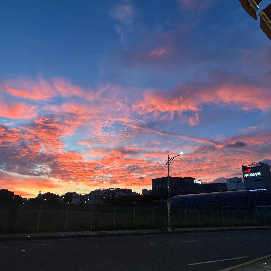 骑着长颈鹿🦒看星星