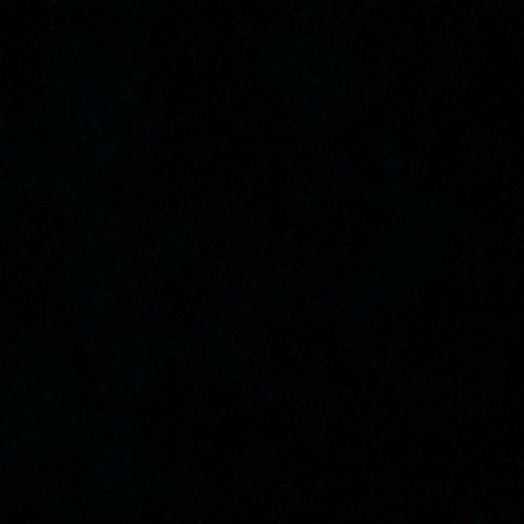 A•🐯