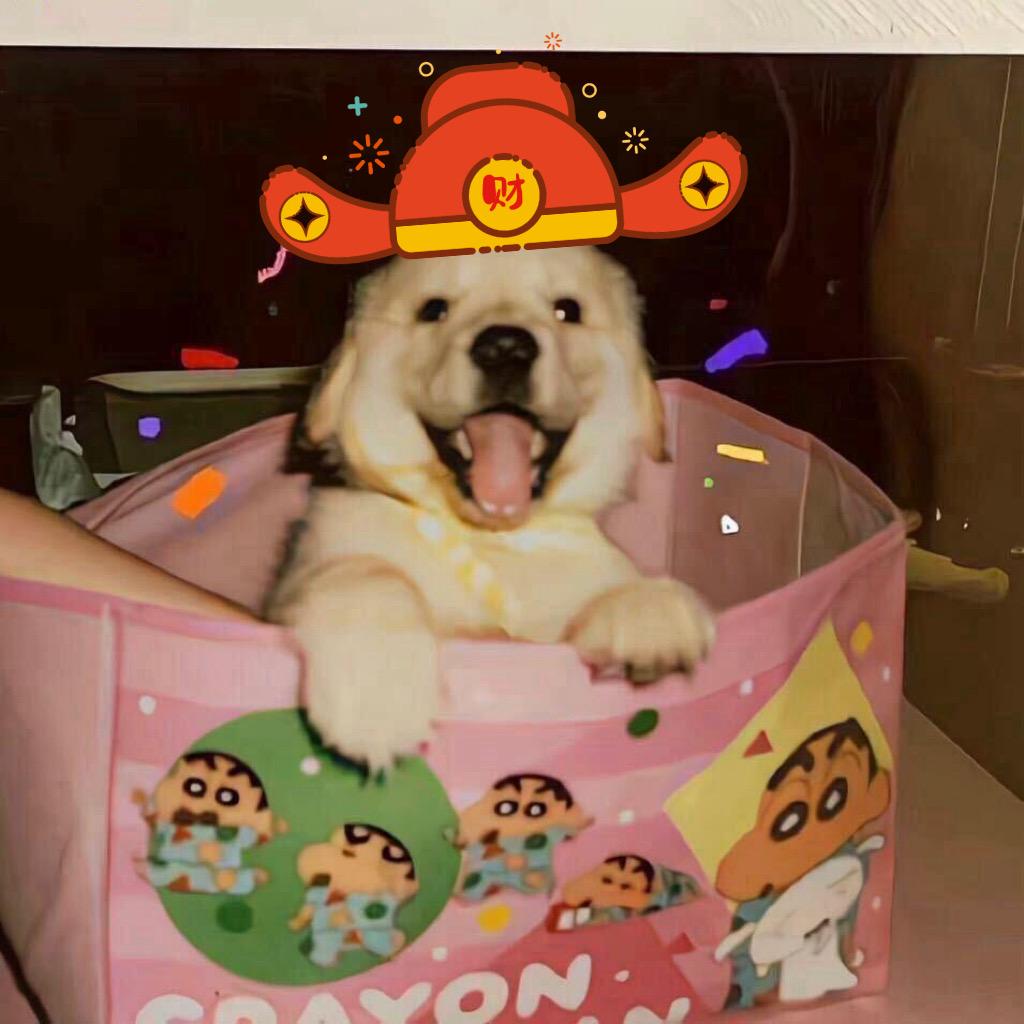 我睡觉从不流口水