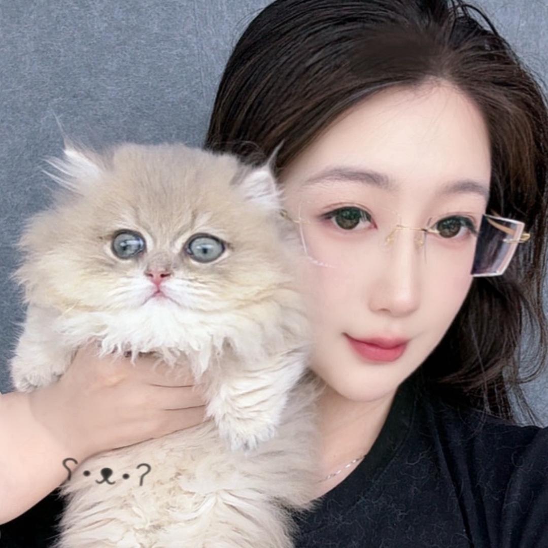 萌宠星球「名猫严选」