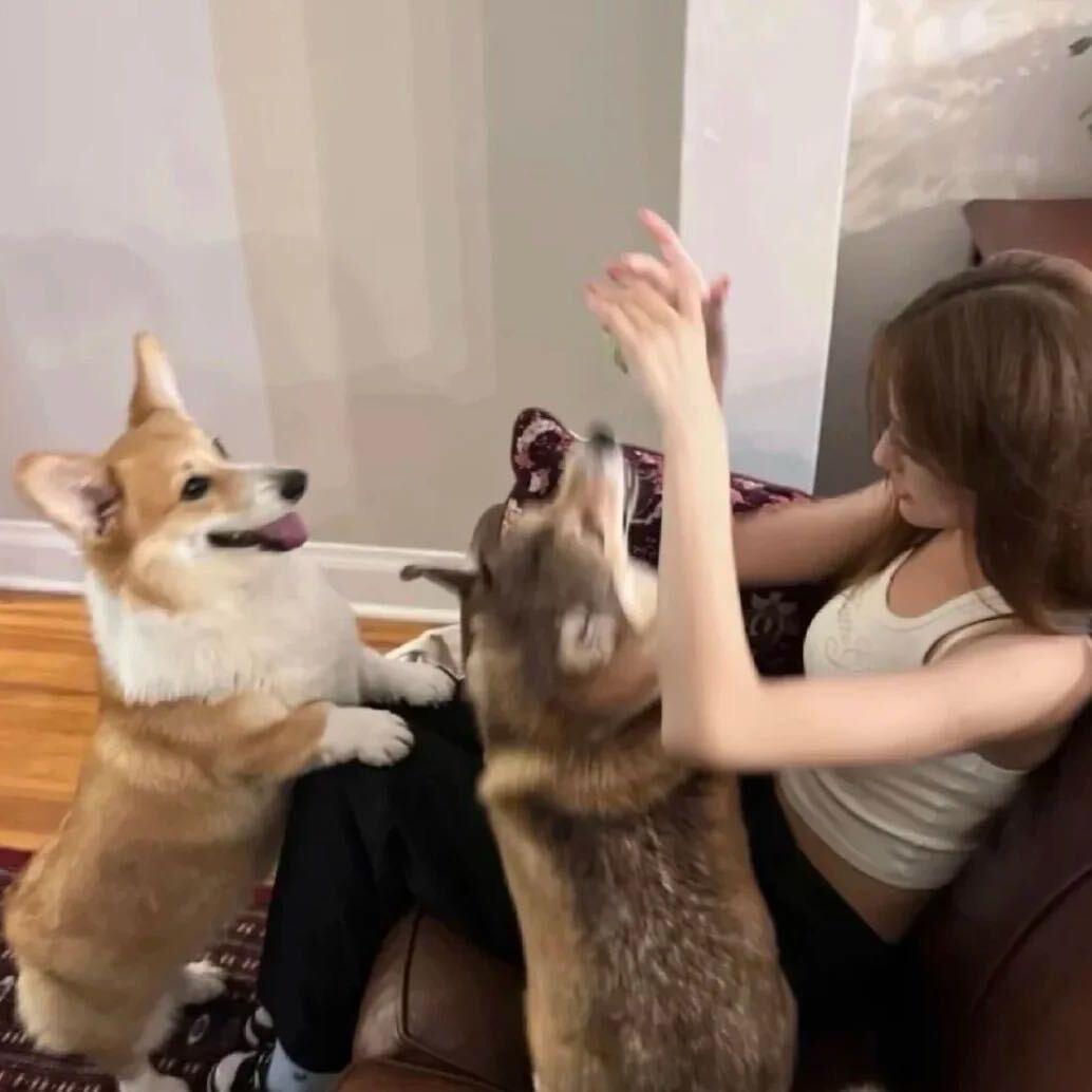 爱睡大觉