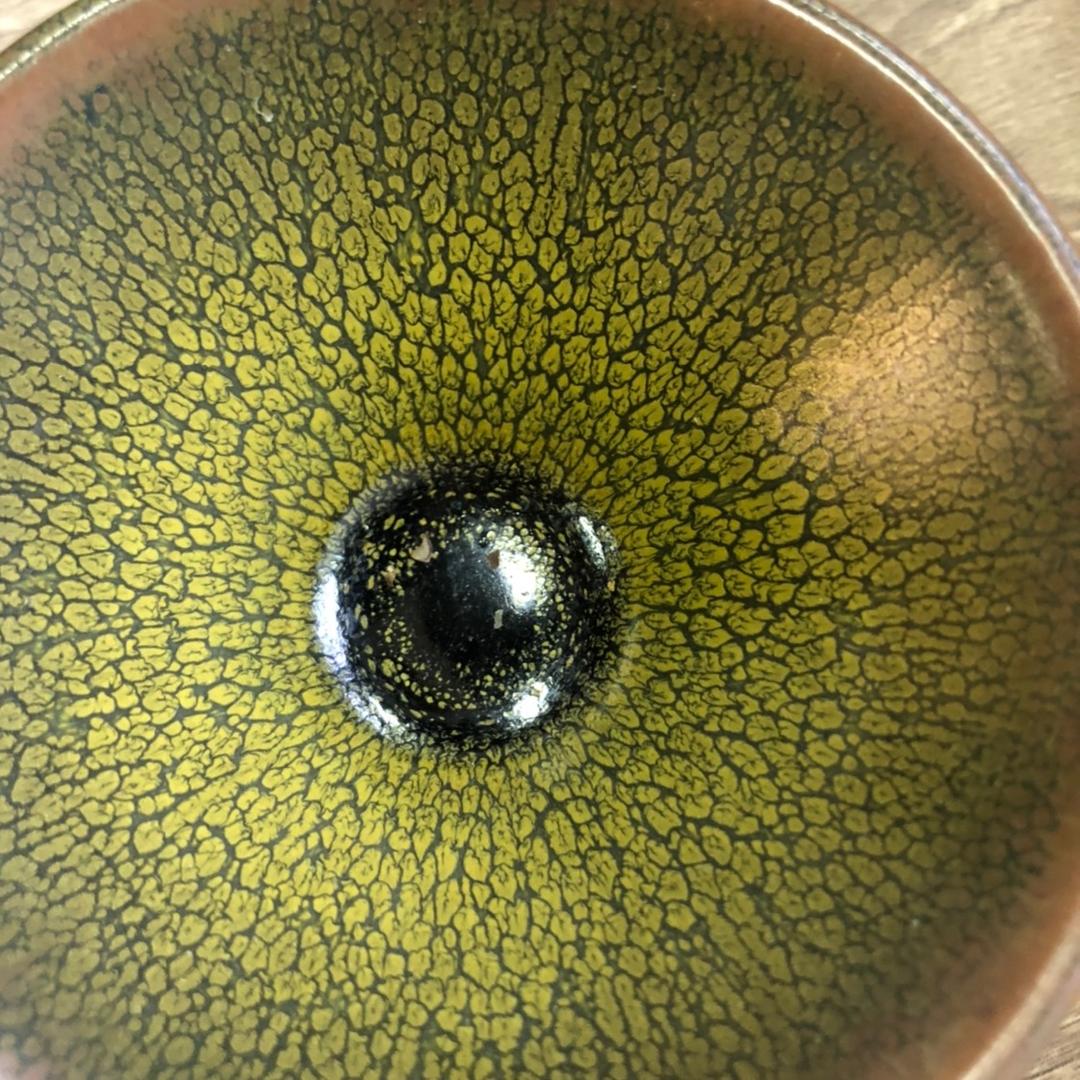 海阳11