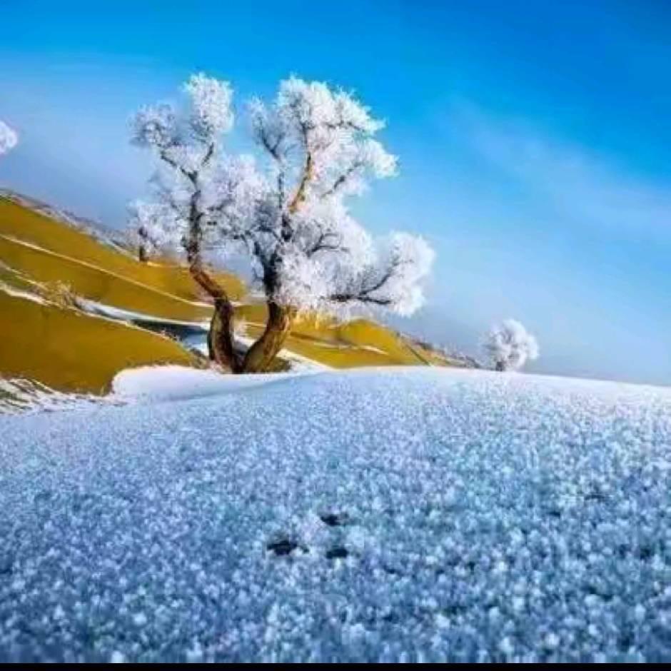 ໒꒰ྀིっ˕蜜蜂🐝-｡꒱ྀི১