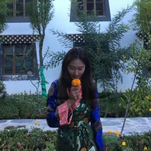 桑姆姐🌱