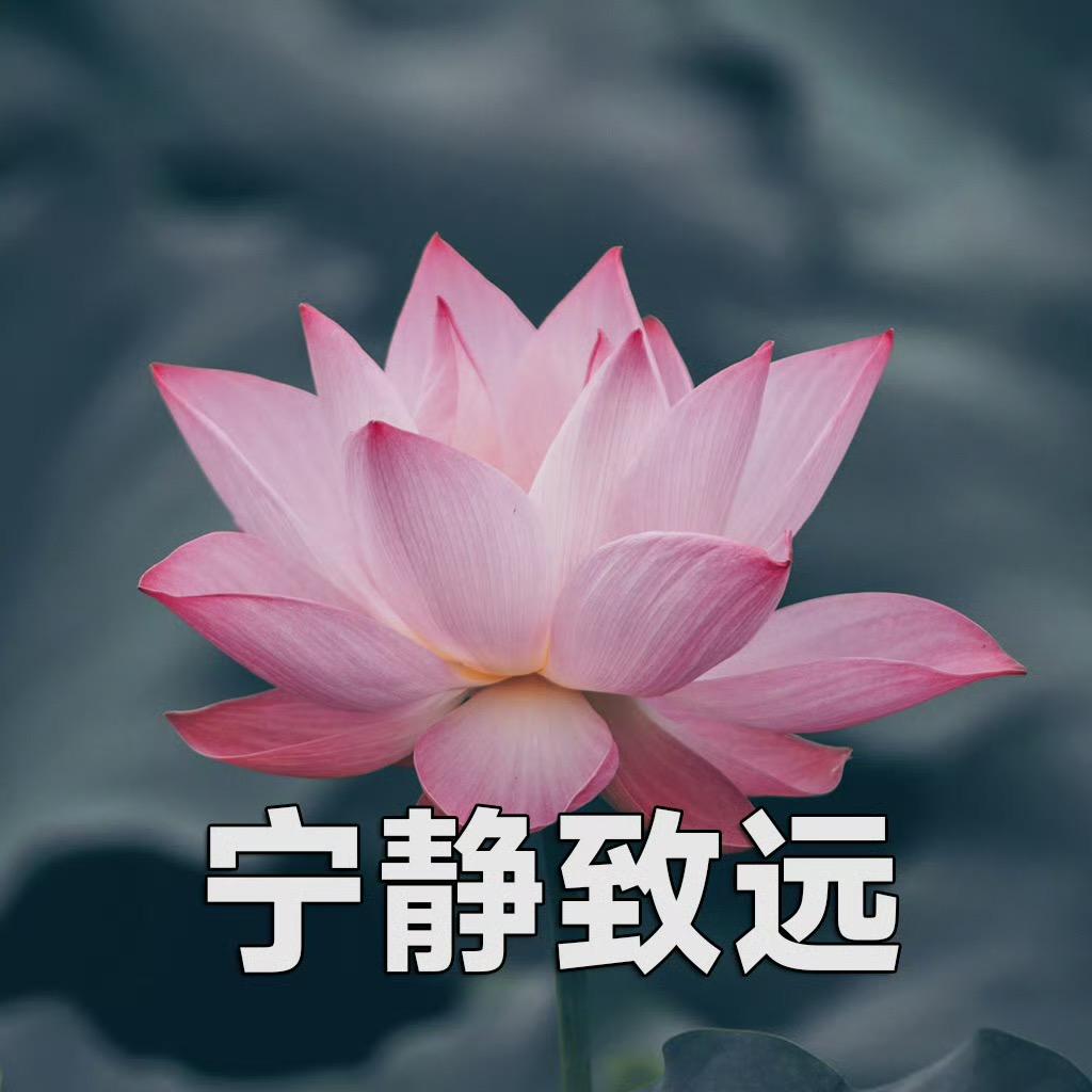 宁 静 致 元