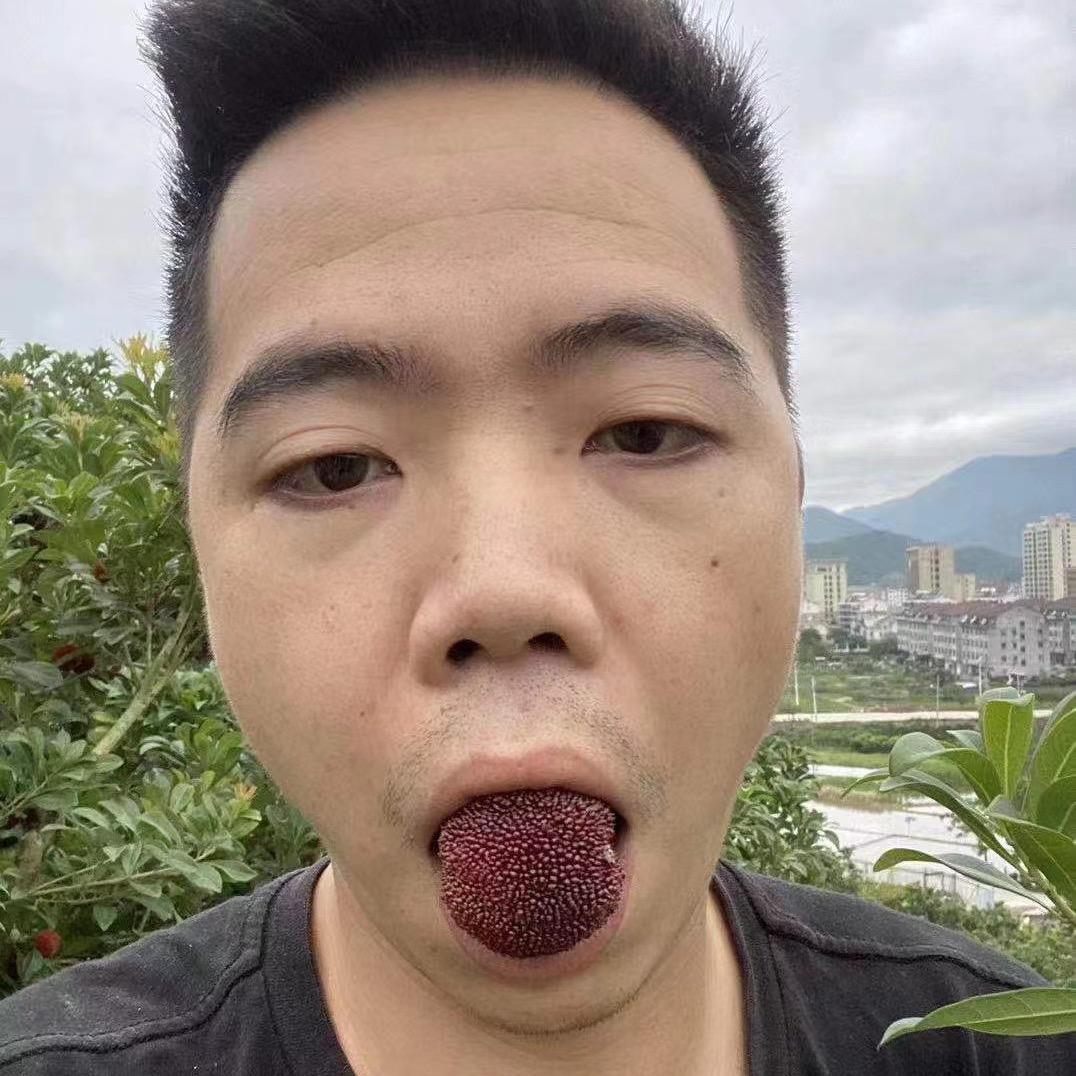 将军山杨梅基地