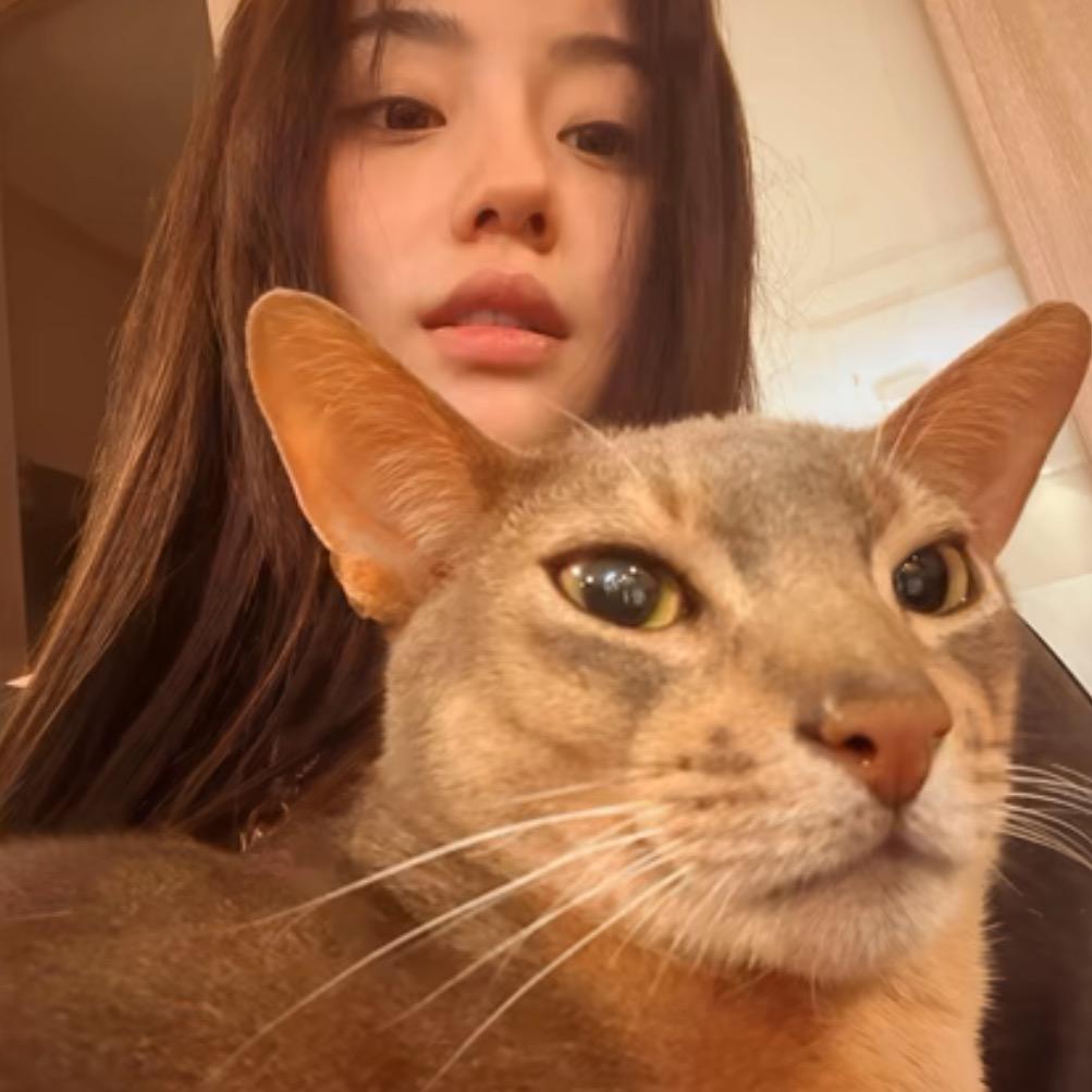 椰椰