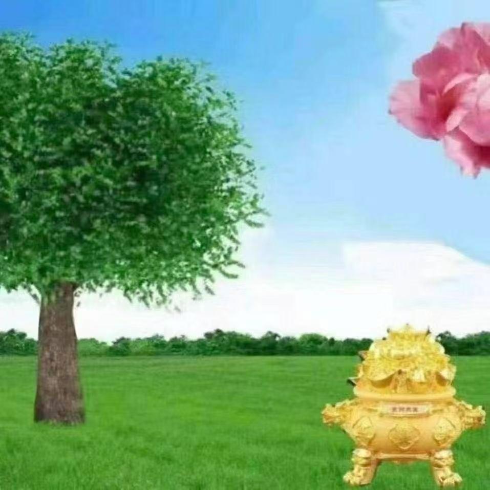 晨煊