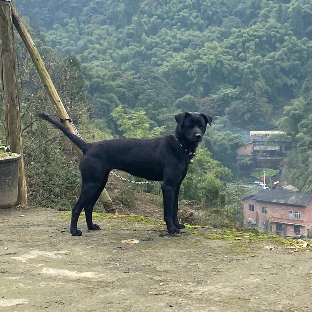 小海