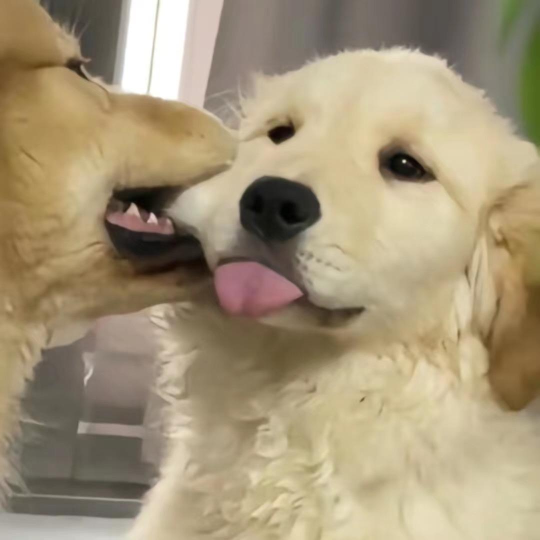 。。。