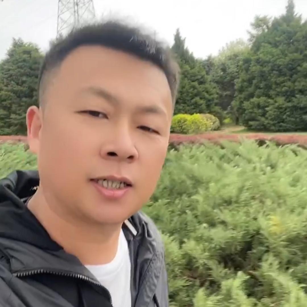 老柴的农村生活