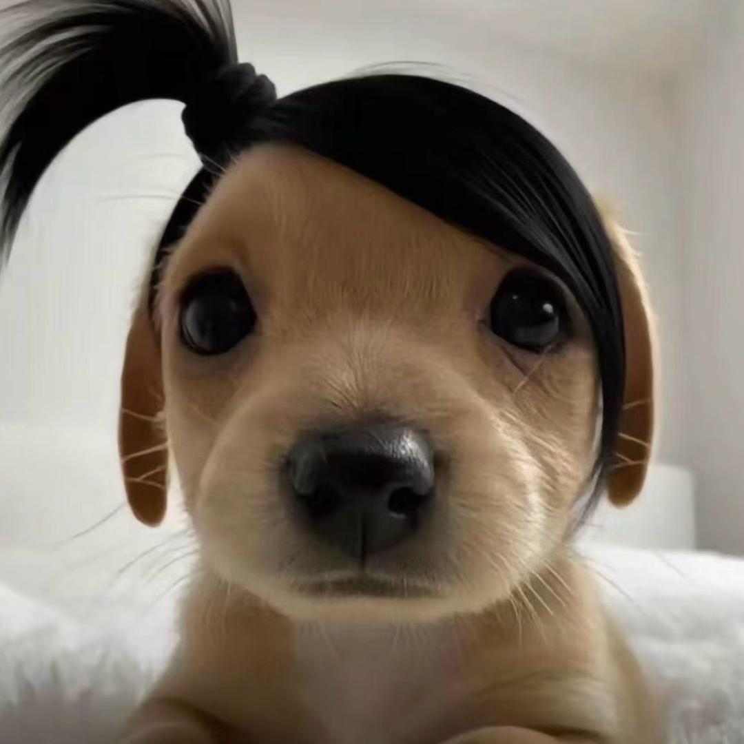 菜菜子（恩师土豆）