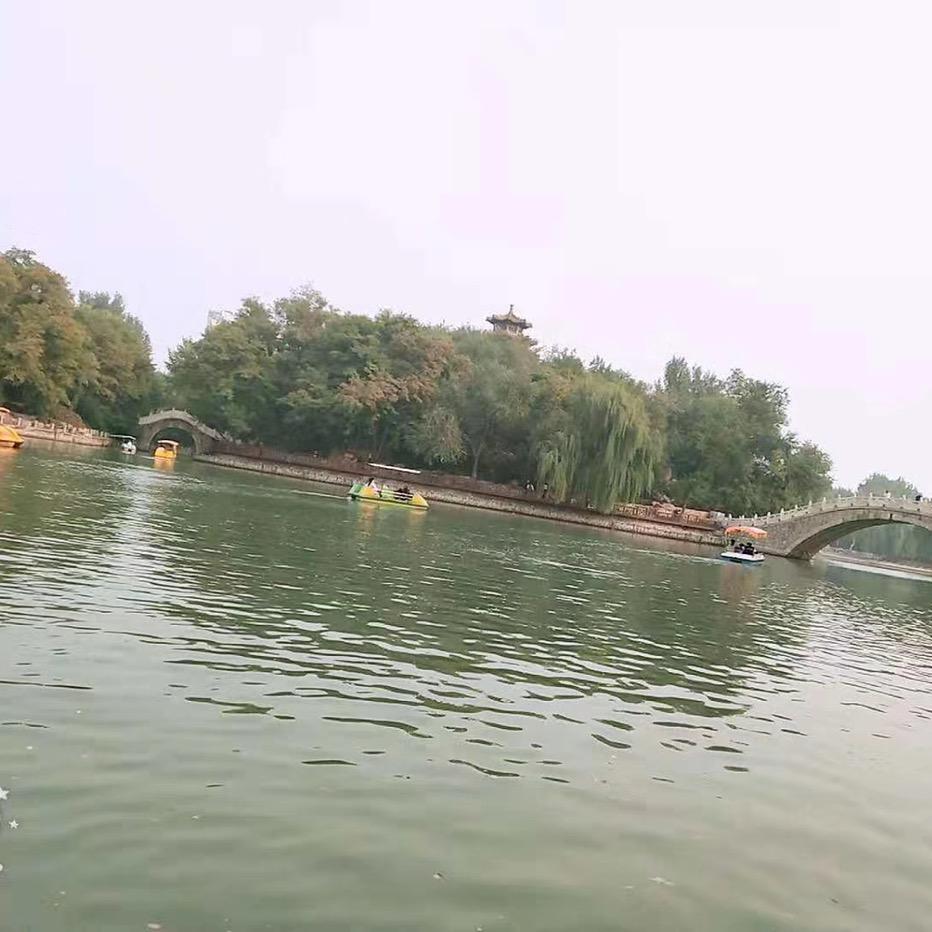 不吃香菜的小美🤗