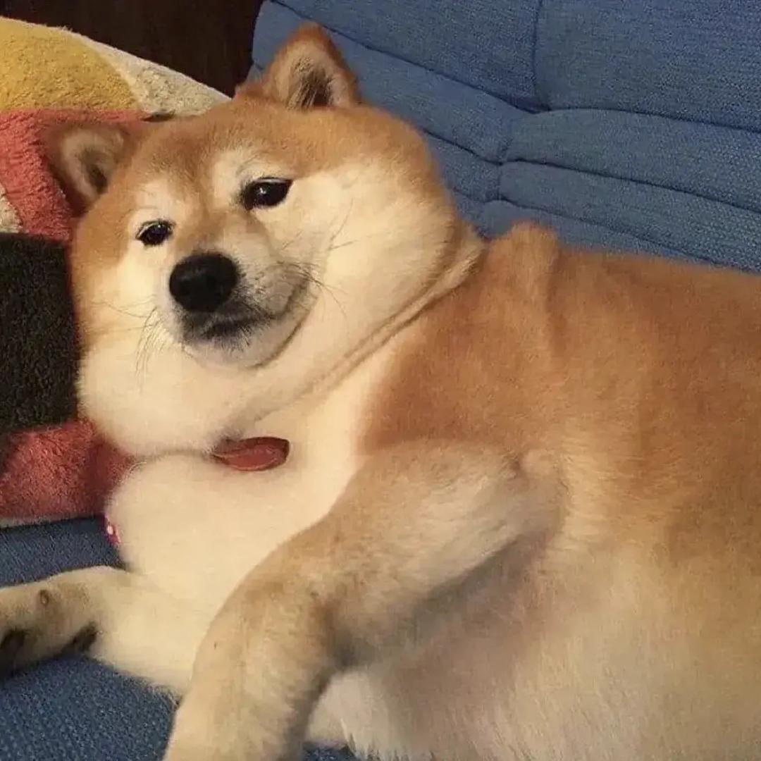 qwer