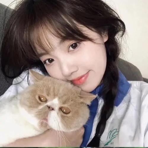 三只小羊严选优品