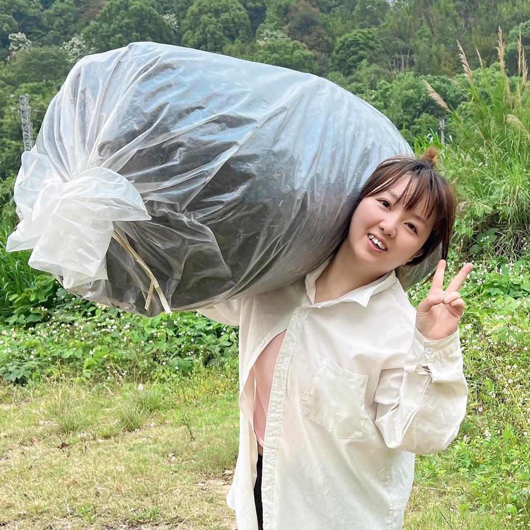 创镇单丛茶