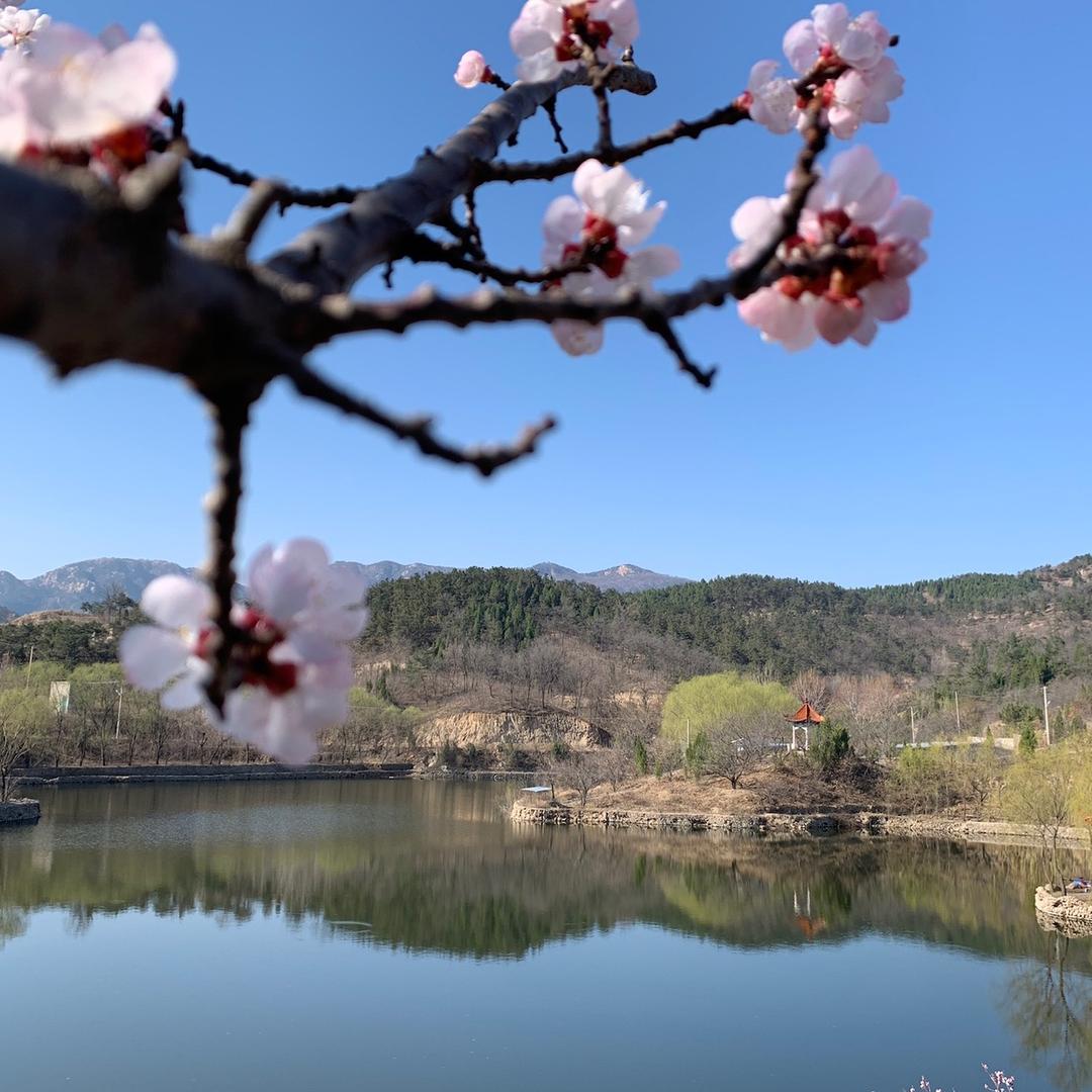 济南大葱哥二手车有限公司