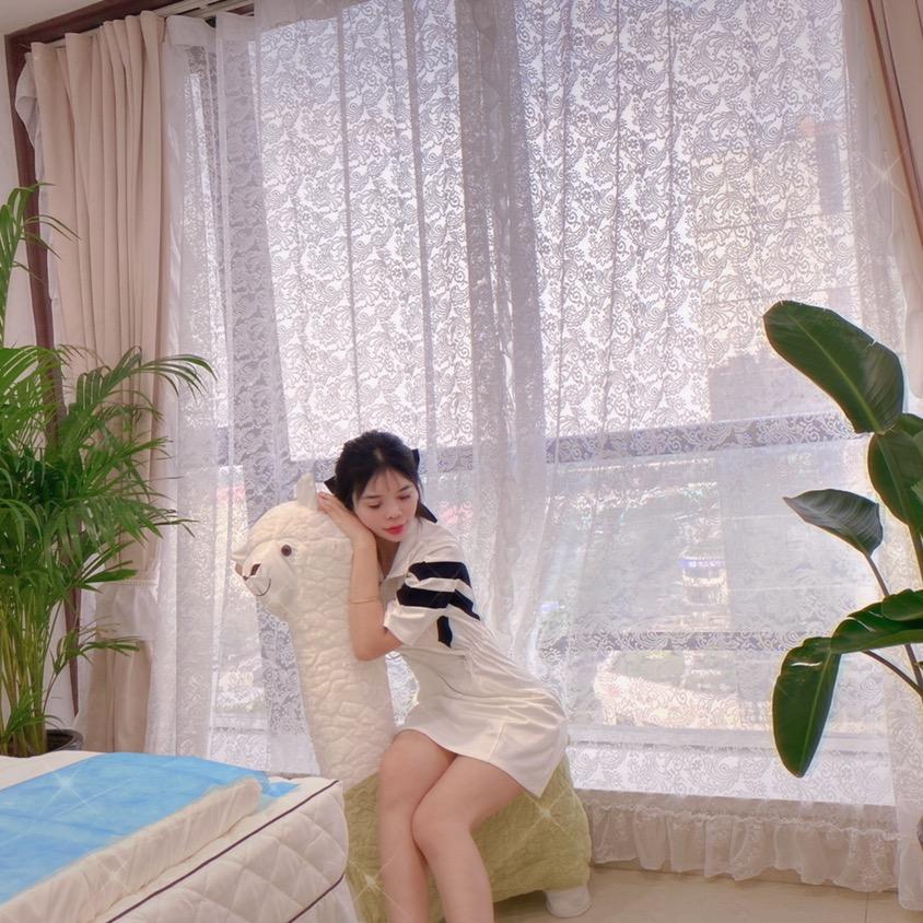 美丽科dr