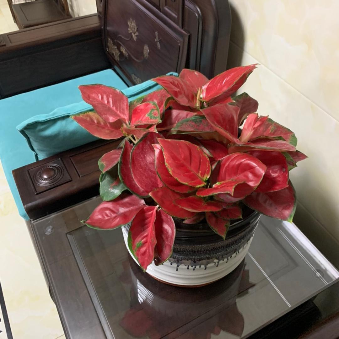 吴荣：养殖场