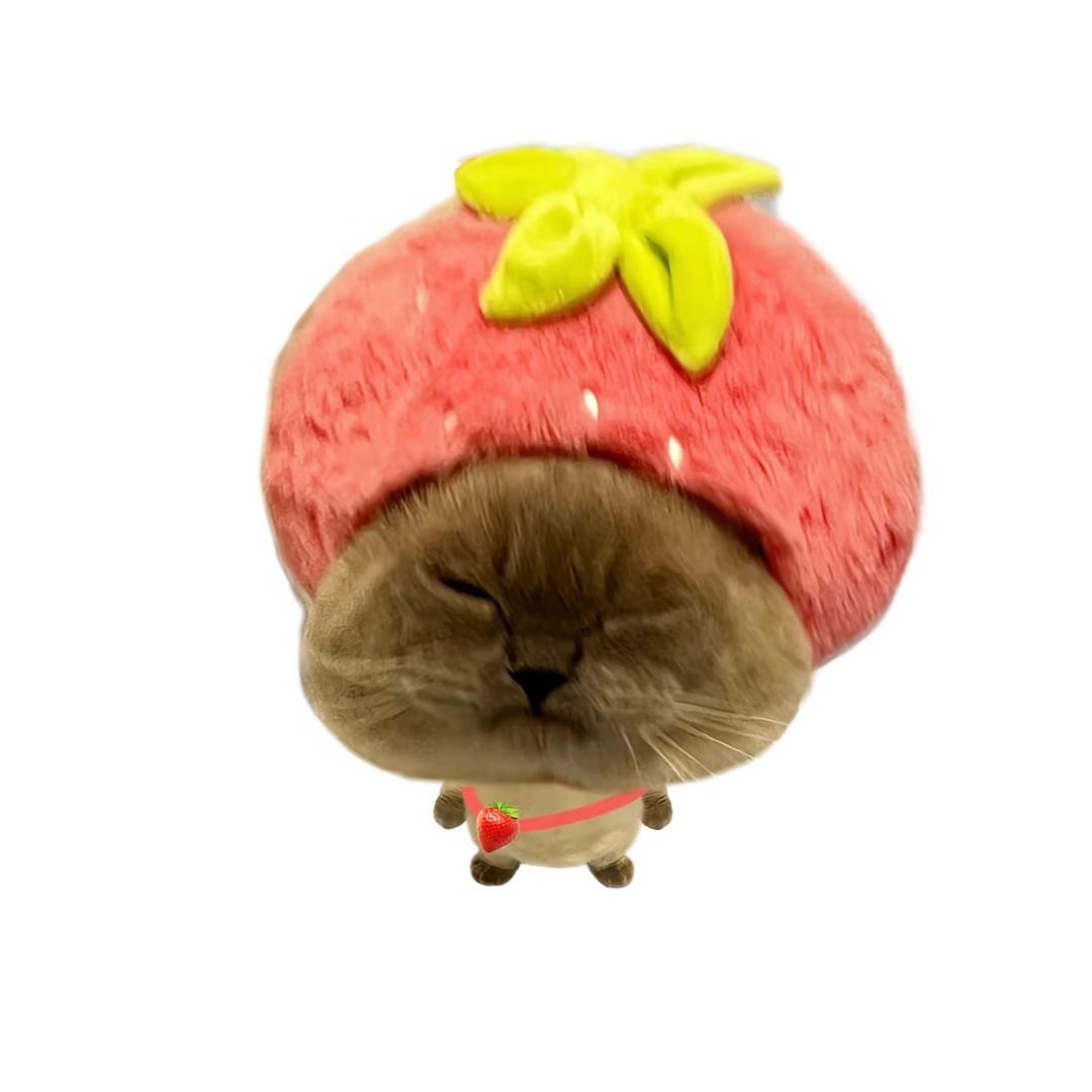 不想减肥