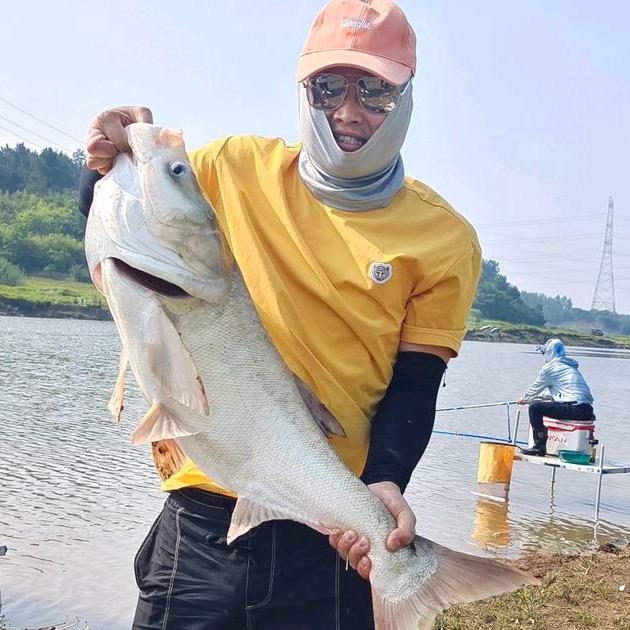 ②斤半🎣（业渔中的鱼）